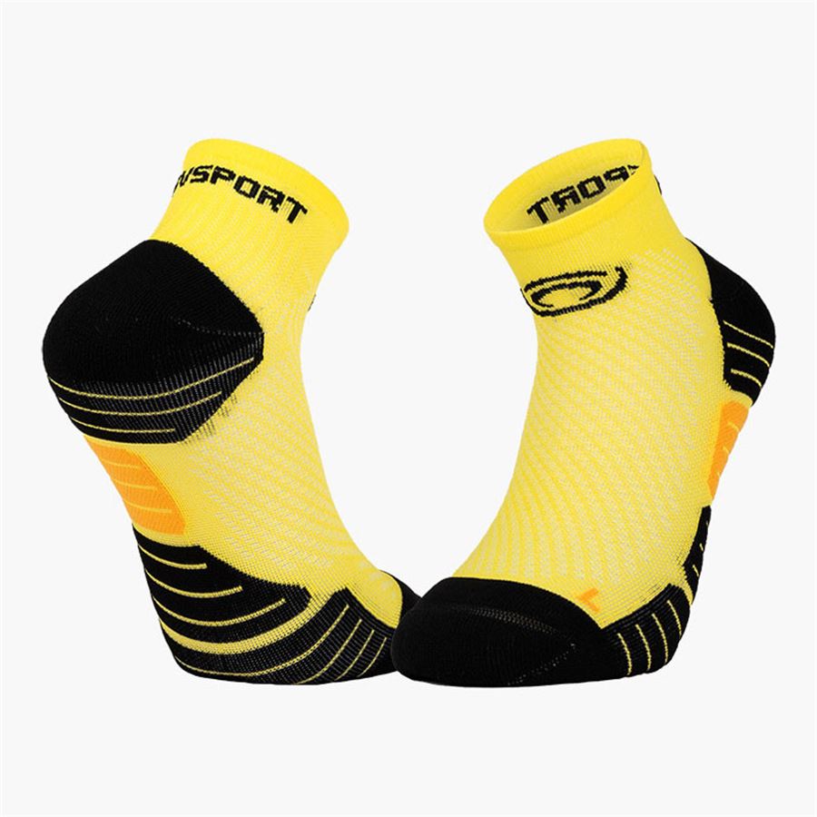  BV Sport | 208019